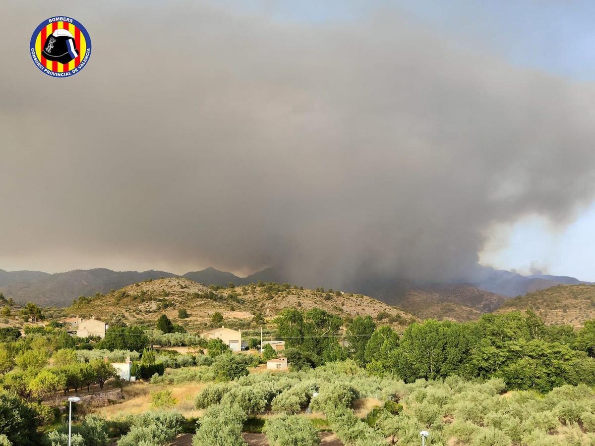 Incendi forestal a Calles