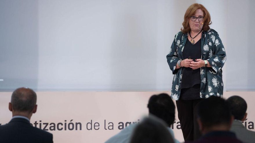 Ángela Ribeiro, jefa del grupo de Percepción Artificial del CSIC. | J. L. F.