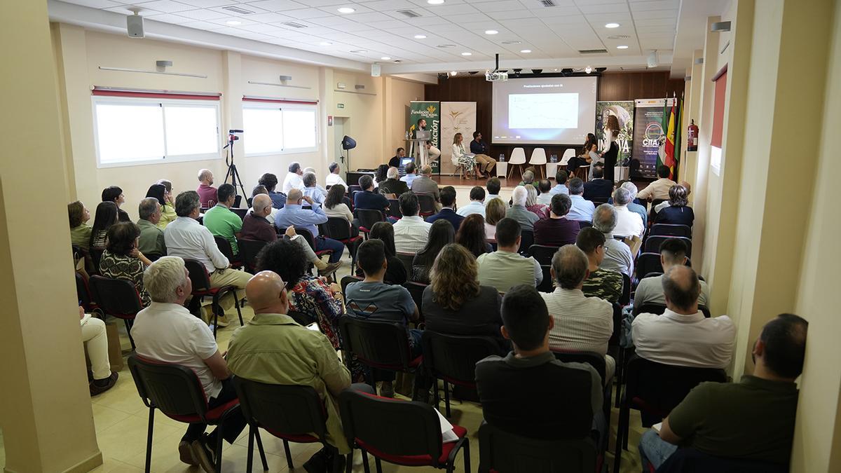 Jornadas sobre vitivinicultura organizadas por el Ayuntamiento de Moriles.