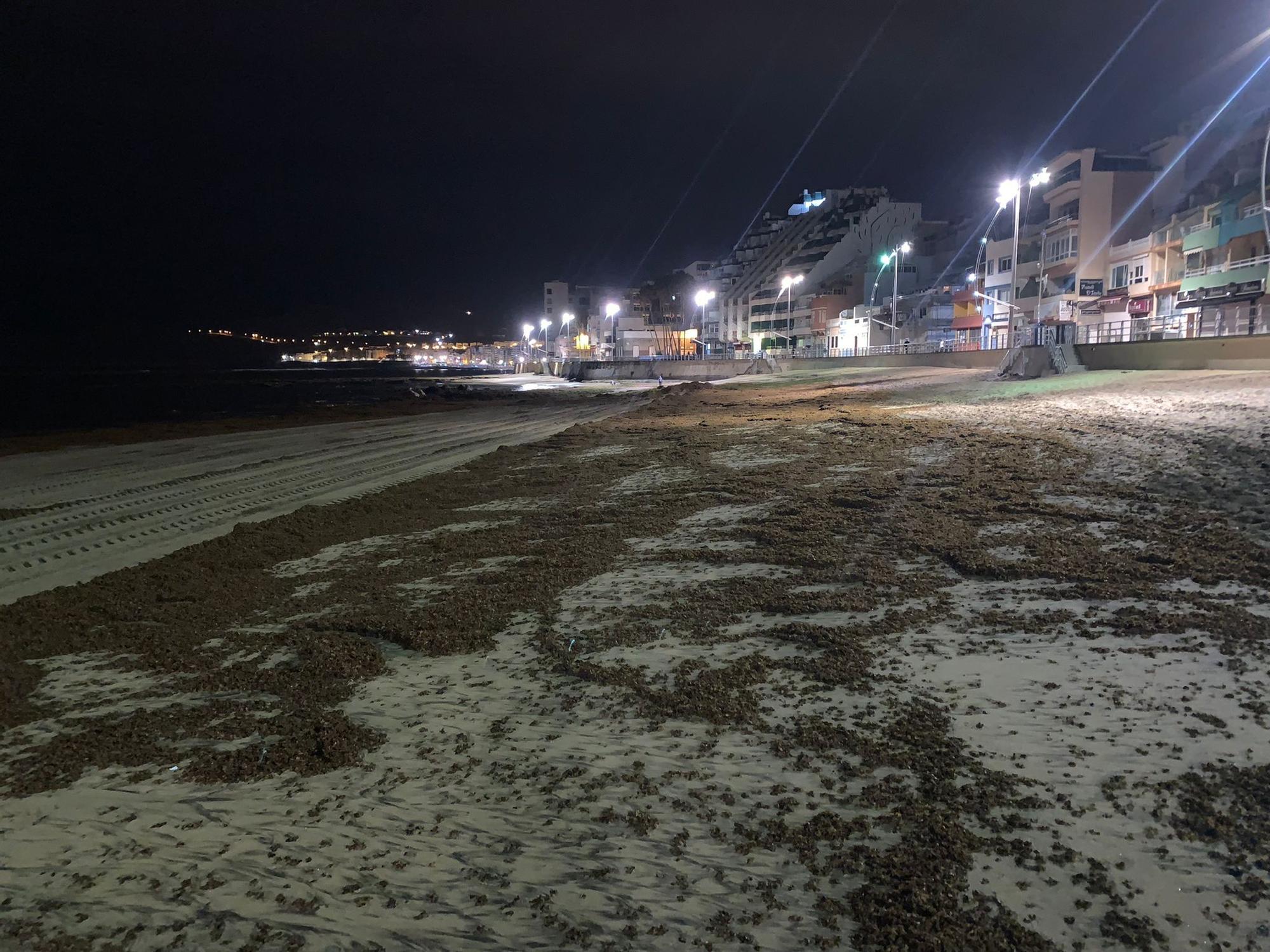 Retirada de seba en Las Canteras