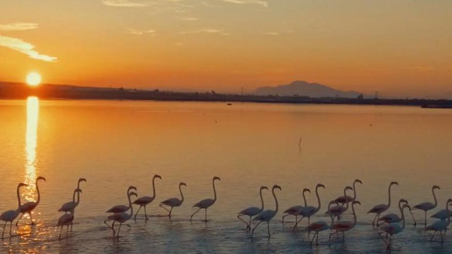 &#039;National Geographic&#039; recala en Santa Pola