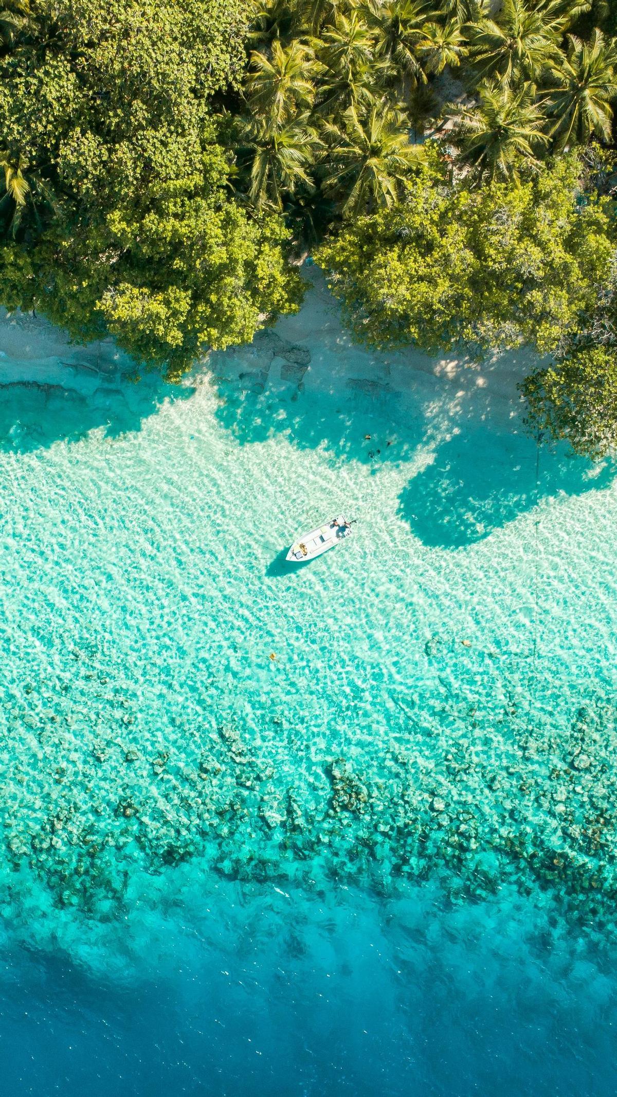 Puedes codearte con la fauna marina a un paso de la playa