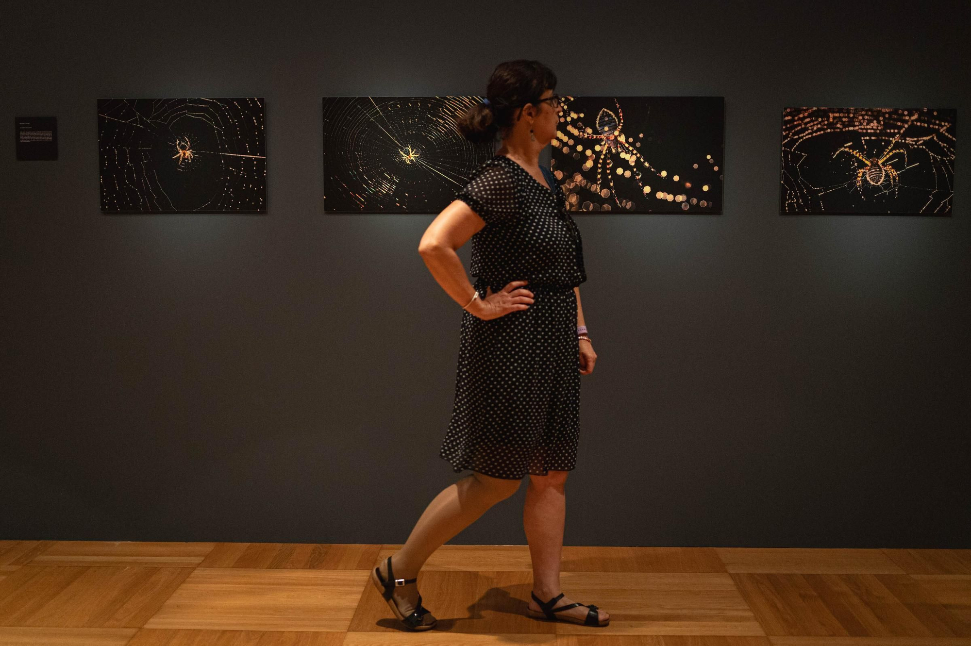 Exposición de seleccionados de los Premios de Artes Plásticas CajaCanarias