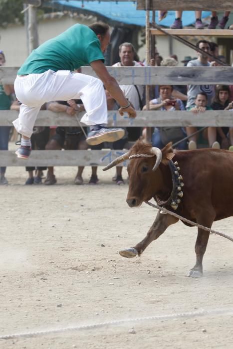 Vaquetes de Torroella de Montgrí