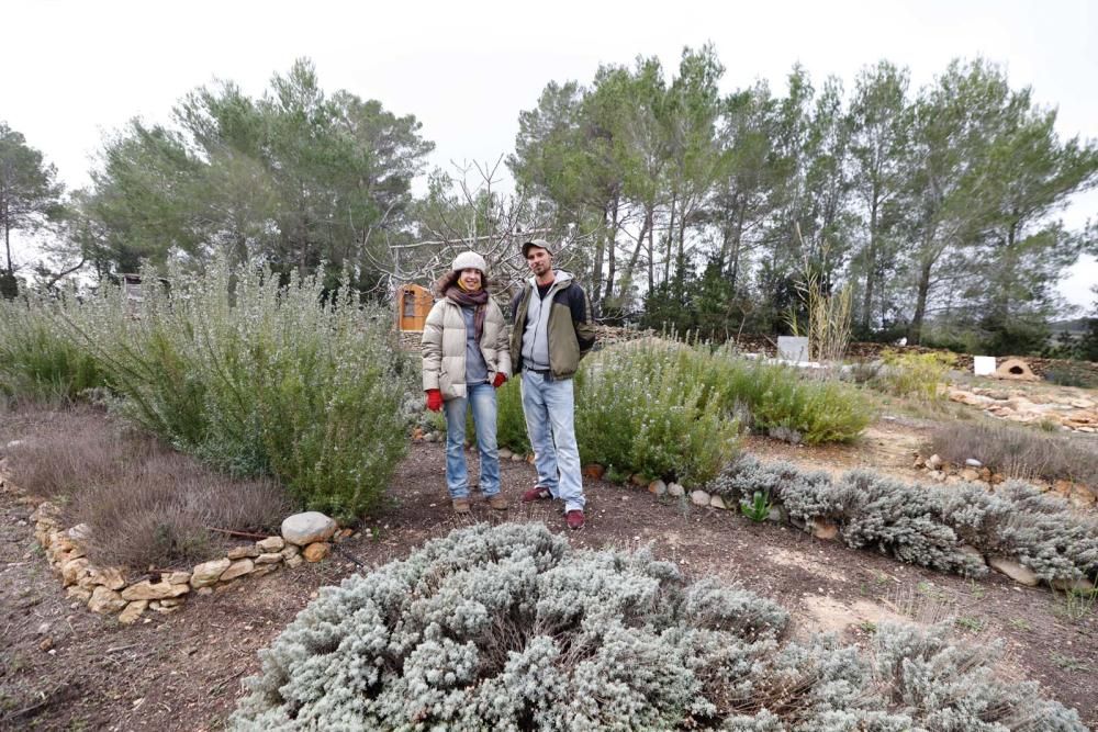 Laia Ribes y Raúl Checa, en el jardín de Can Carreró donde hacen pruebas con las plantaciones y seleccionan semillas que luego aprovechan en el área de cultivo de las hierbas aromáticas.