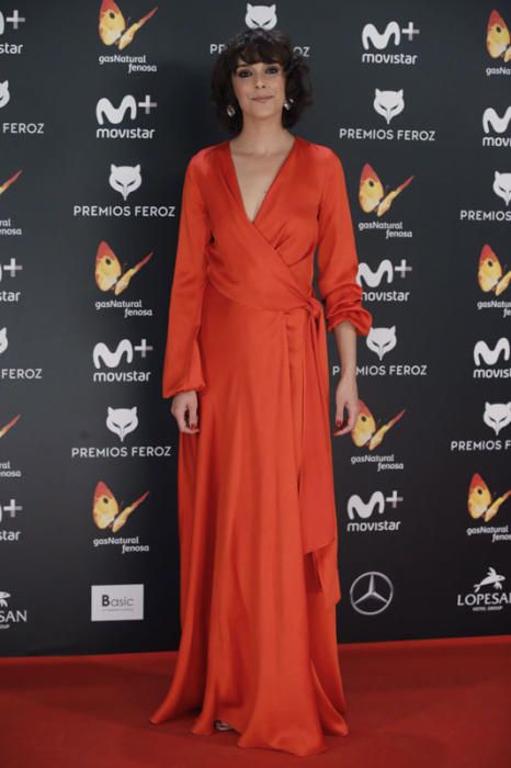 La alfombra roja de los Premios Feroz