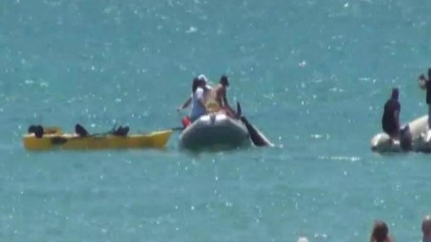 Dos atunes siembran el pánico en una playa de Cádiz