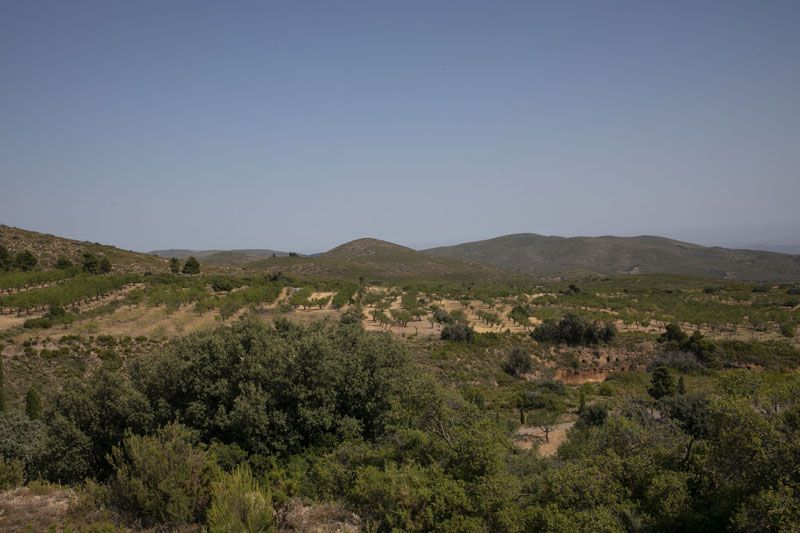 Andilla y Oset: Diez años después del incendio