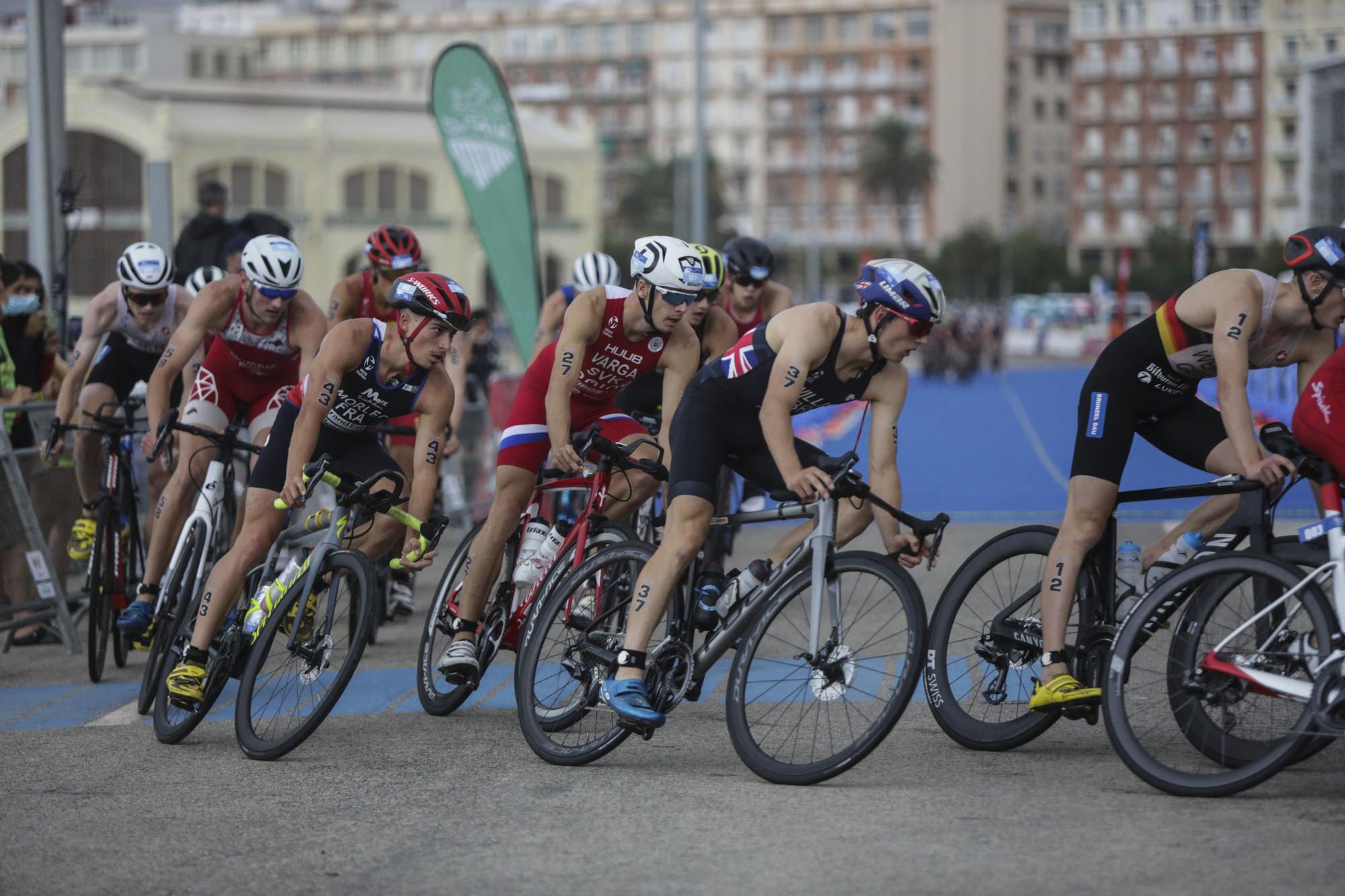 Campeonato de Europa de Triatlón élite masculino de Valencia