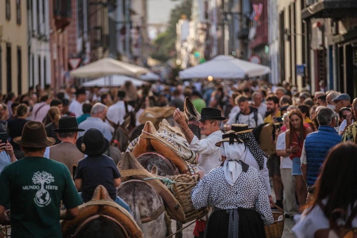 Noche de los Burros en La Laguna, julio de 2022 Noche de los Burros en La Laguna, julio de 2022