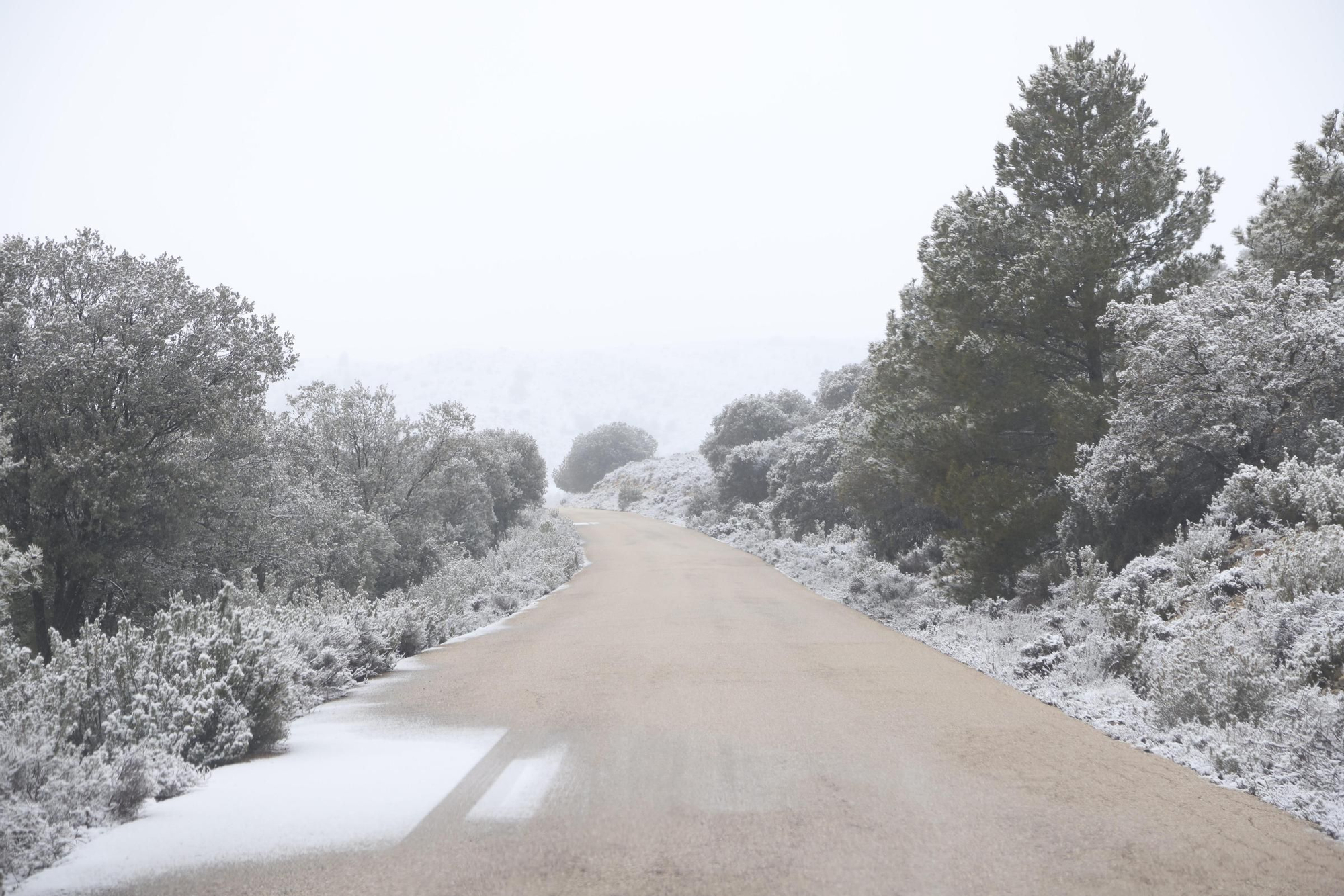 La espectacular nevada que ha teñido de blanco todo Inazares, en imágenes