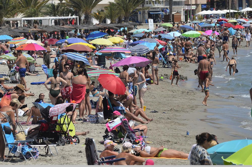 Buen tiempo este fin de semana en Elche