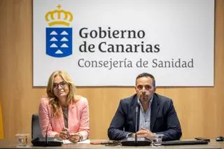 Canarias y el resto de comunidades piden a Sanidad que reinicie la negociación del Estatuto Marco