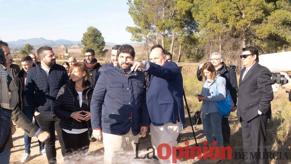 Bosque Disfrimur