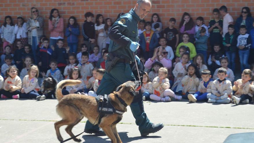 La Guardia Civil de Zamora, de cerca