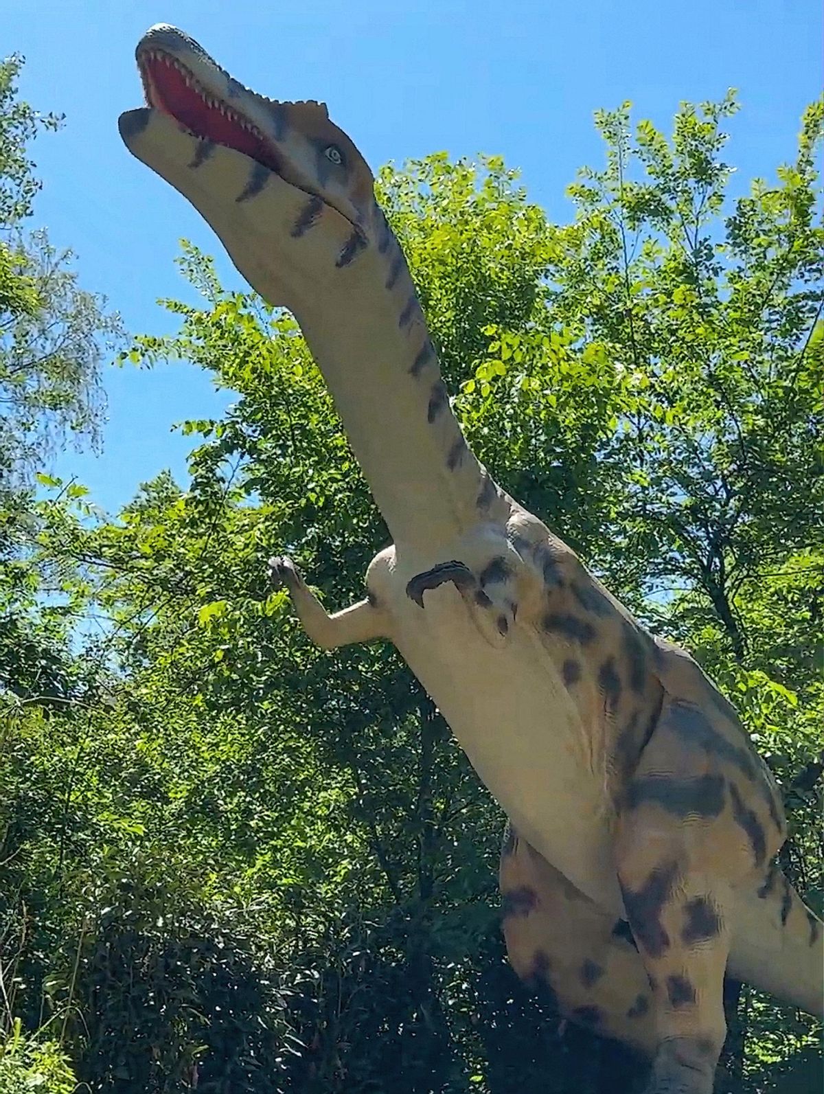 Otra foto del dinosaurio de Castellón.