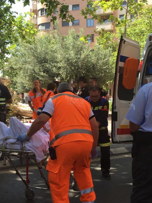 Un conductor herido al chocar con el tranvía en Valencia