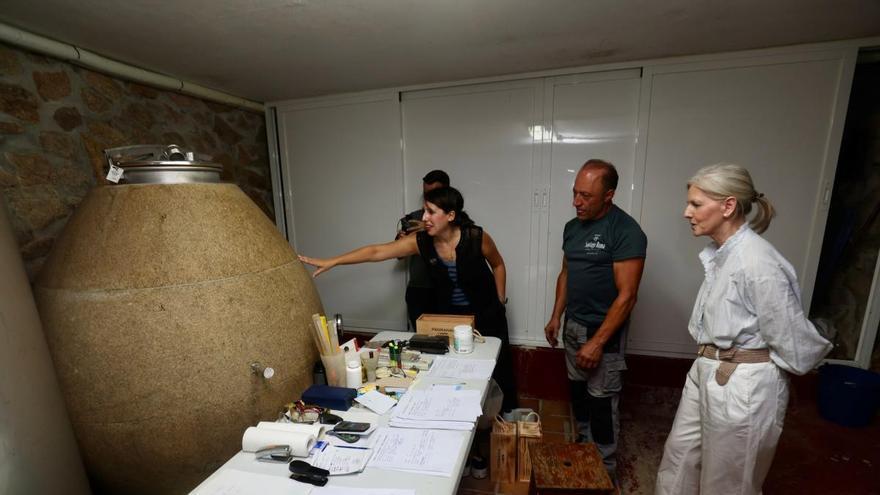 La Xunta apura los últimos días de vendimia para incentivar la compra de uva