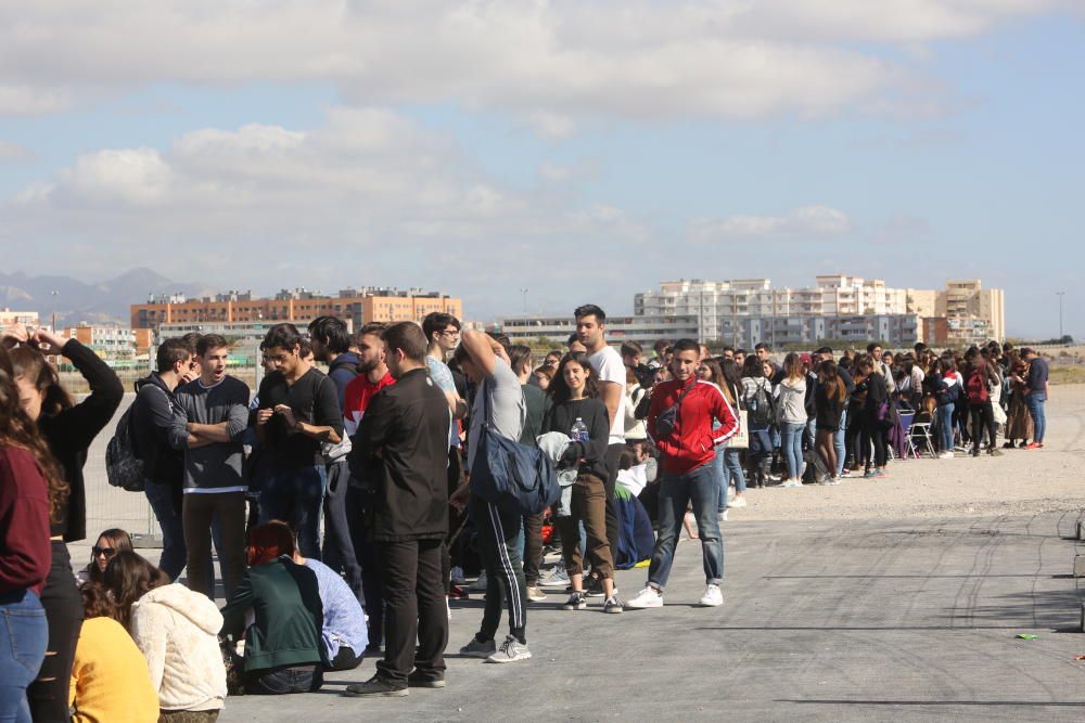 Paellas Festival de Alicante