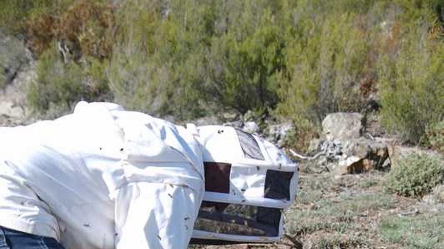 Un apicultor de Sanabria maneja una colmena.