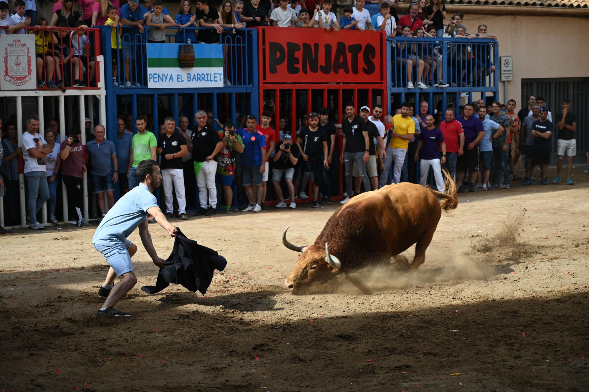 GALERÍA I Primer día de Bou per la Vila en Almassora con gran ambiente festivo en el recinto