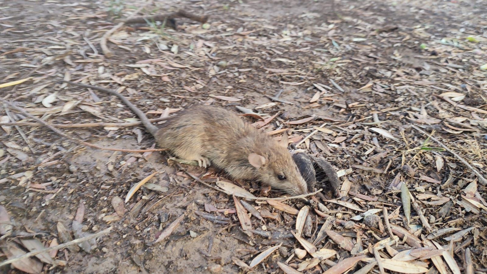 WhatsApp Image 2025-10-13 at 13.06.00 (2).jpeg