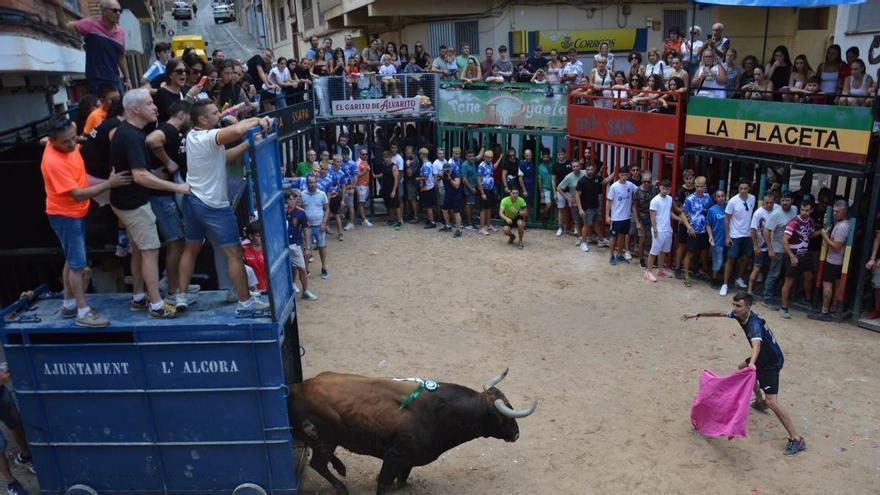 Neue dreifache Portion wildstämmiger Stiere bei den Festen von l'Alcora