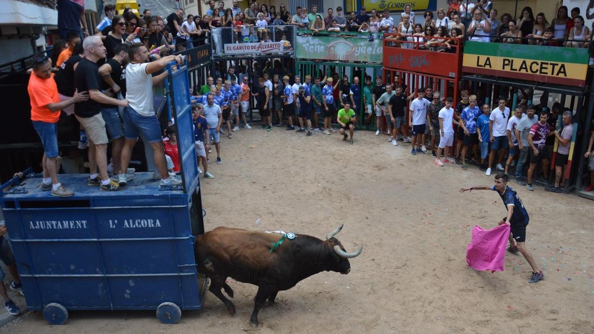 Foto del primer toro saliendo del cajón.