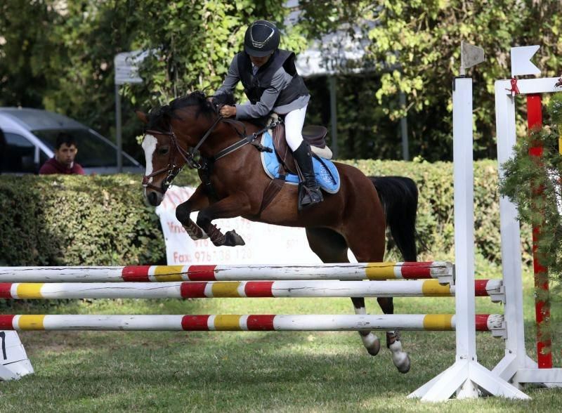 Trofeo Hípico Nacional 'Ibercaja-Ciudad de Zaragoza'