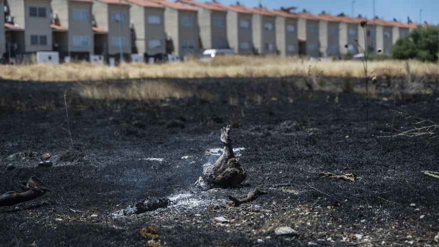 Video | Un incendio en parcelas privadas sin desbrozar alarma a los vecinos