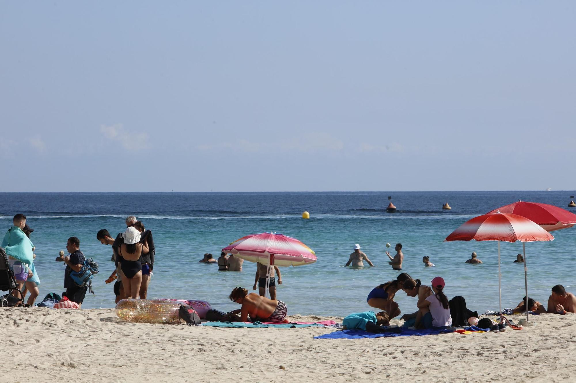 Sommer-Urlaub im Oktober: So sieht es derzeit am Strand von Alcúdia auf Mallorca aus