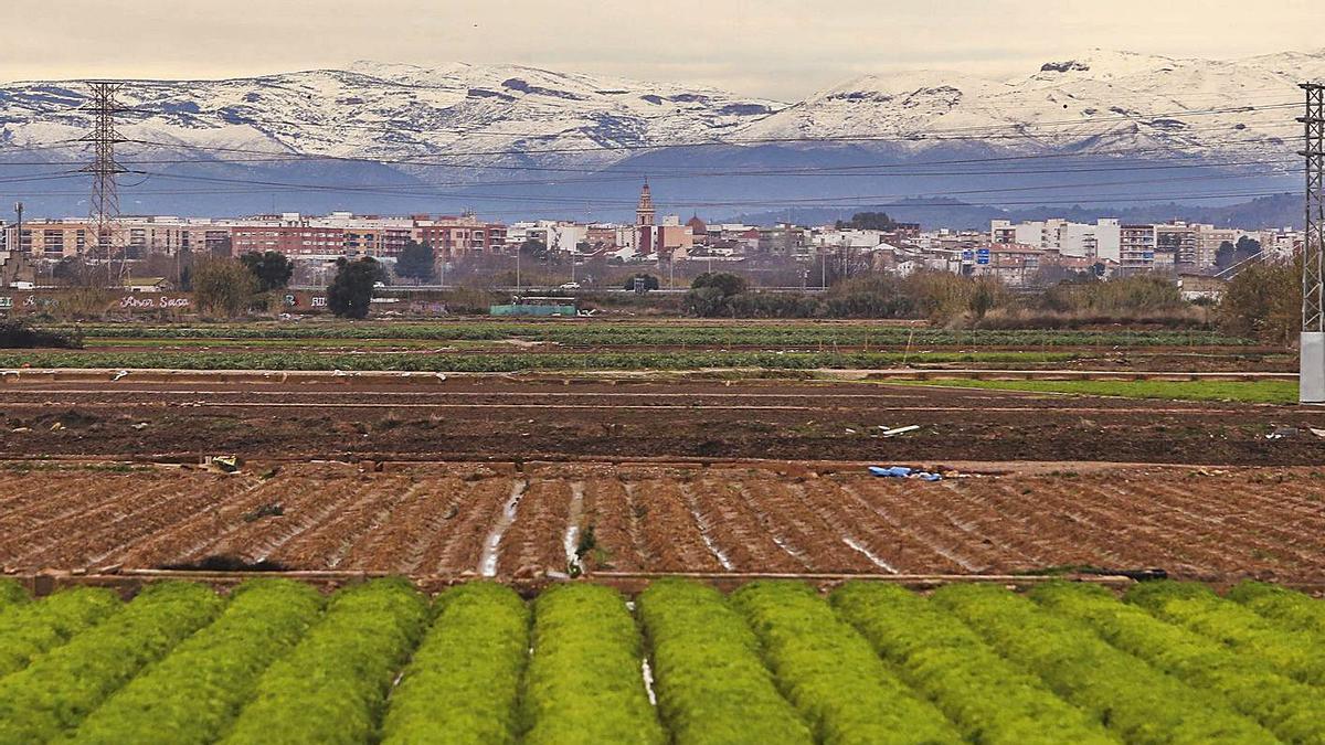 La huerta de València con la ciudad y la Calderona nevada al fondo, en imagen de archivo. | F.CALABUIG