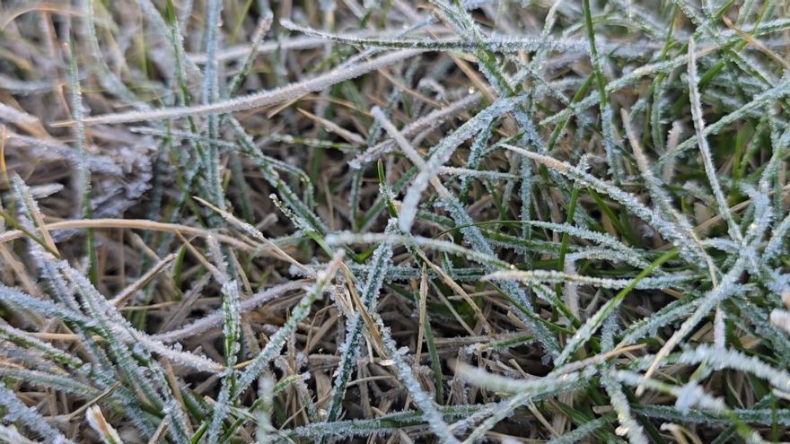 Las heladas persisten en el Noroeste de la Región: hasta 10 grados bajo cero en La Junquera