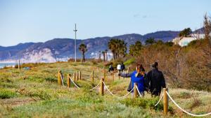 Jornada de catalogación de la biodiversidad en las playas del área metropolitana.