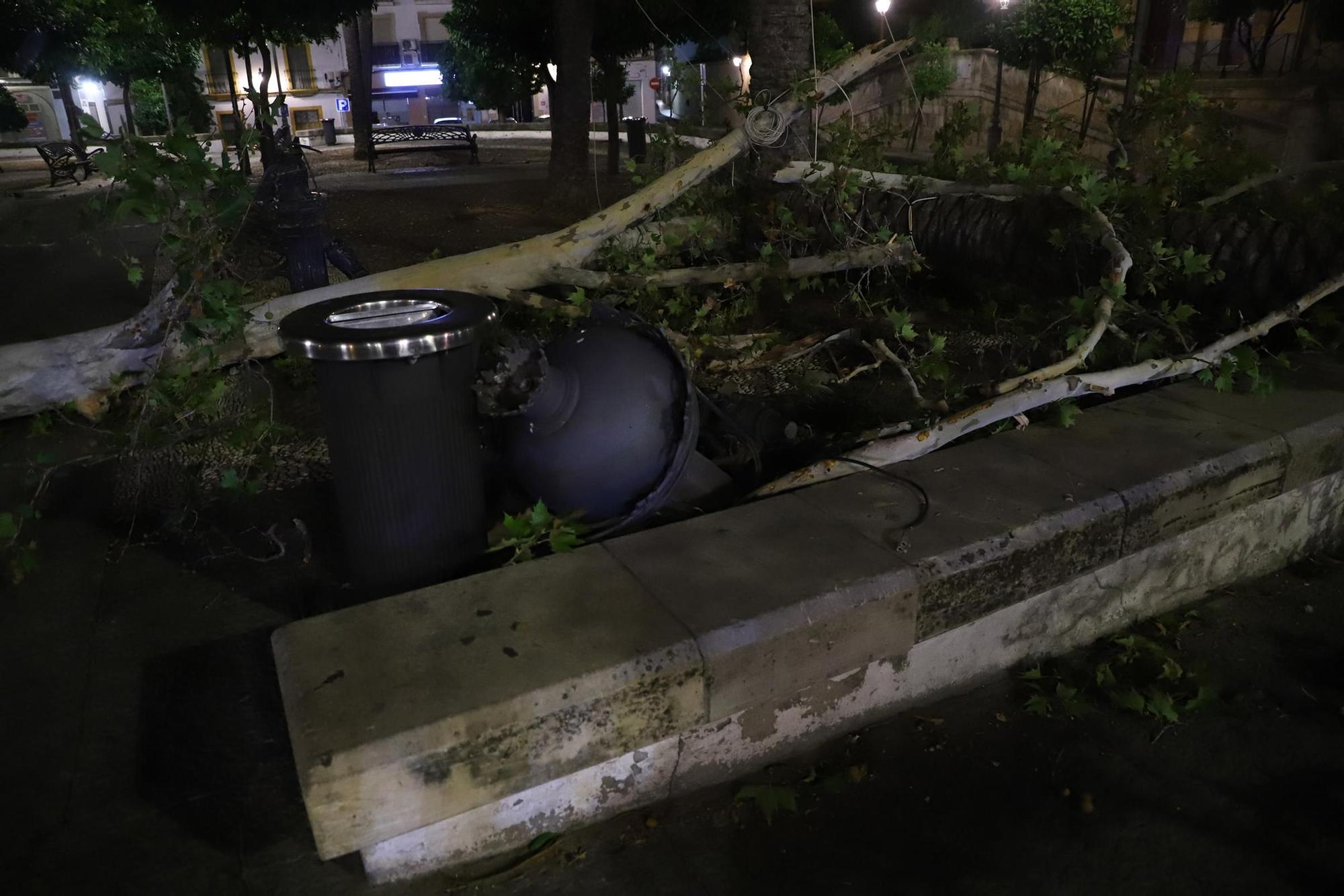 Los efectos del temporal en Córdoba, en imágenes