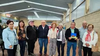 La Asturias que envejece pide transporte, compañía y servicios para seguir en casa
