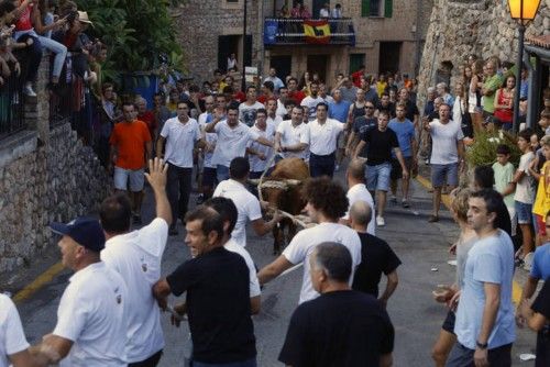 Der traditionelle Stierlauf von Fornalutx