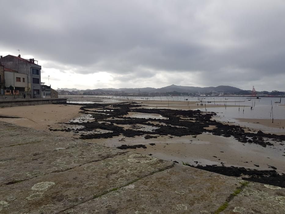 "Mareas vivas" en Galicia.