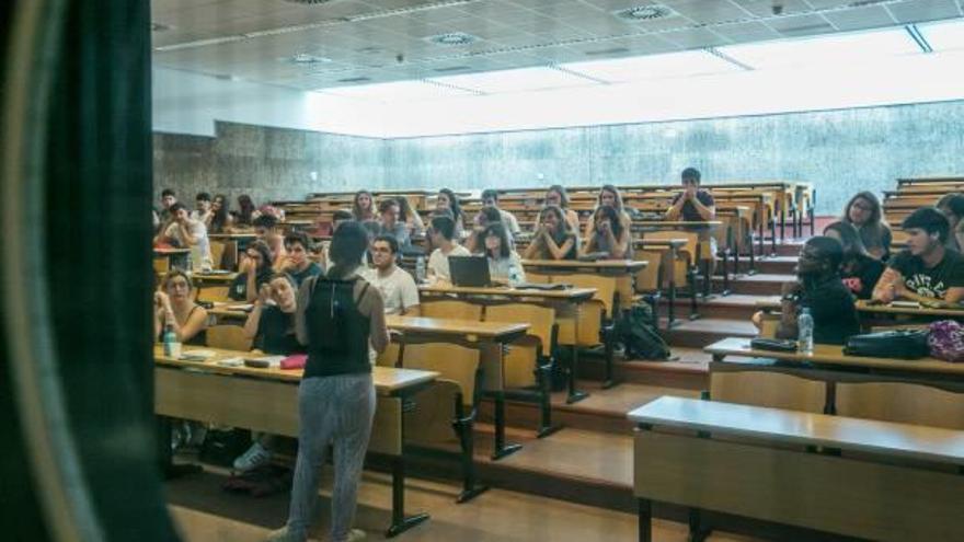 La UMH tiene vacantes en trece grados a falta de cinco días para comenzar el curso