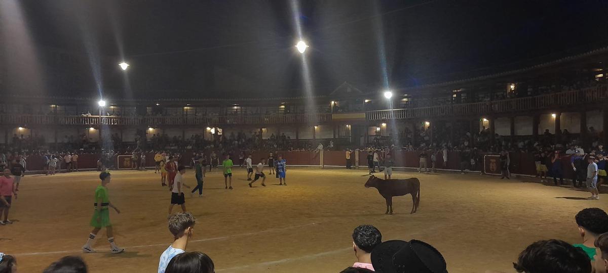 GALERÍA | La verbena taurina de las Fiestas de San Agustín de Toro, en imágenes GALERÍA | La verbena taurina de las Fiestas de San Agustín de Toro, en imágenes