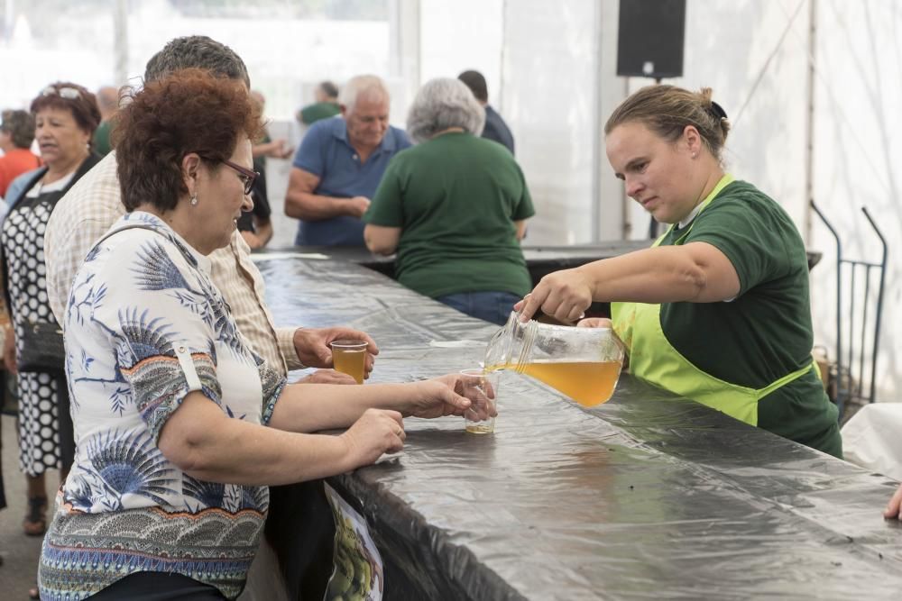 La Festa da Sidra de la parroquia viguesa rompe todas la previsiones, con más de 5.000 asistentes, 1.200 litros del brebaje despachados y 6.000 botellas vendidas. El ANPA Bene Vivere, manzana de oro.