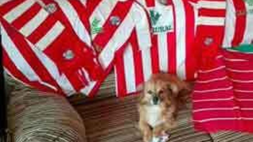 Una mascota rodeada de camisetas, bufandas y la bandera de Zamora.