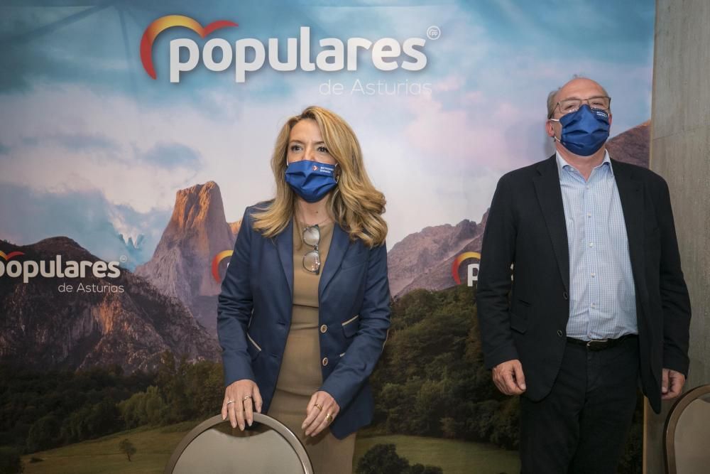 Comité regional del PP