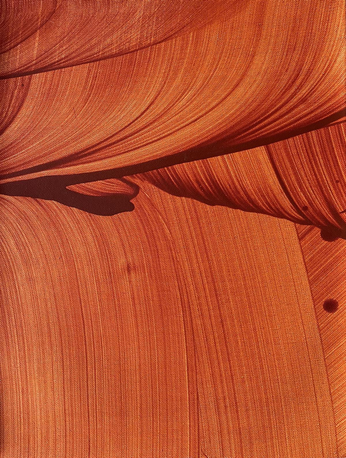 Detalle de la obra ‘Guayadeque’.