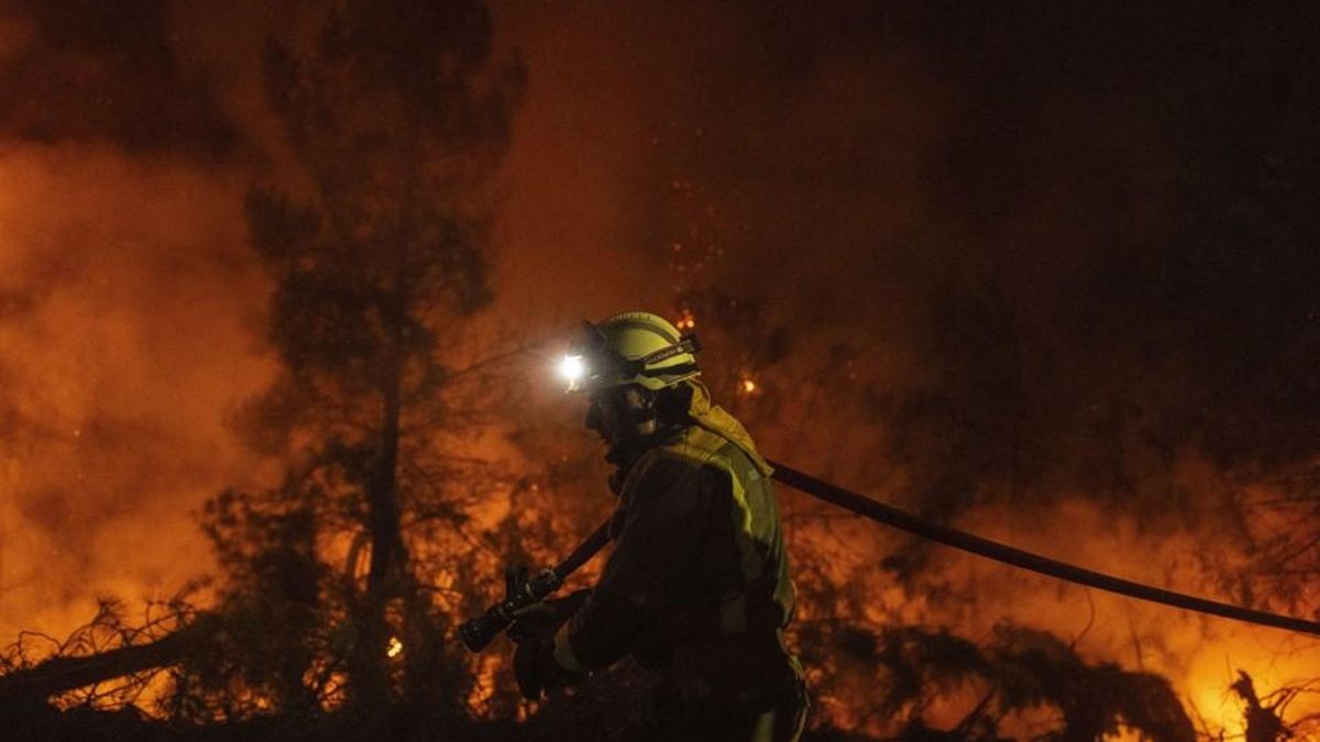 Extinción de un incendio el pasado verano en A Gudiña