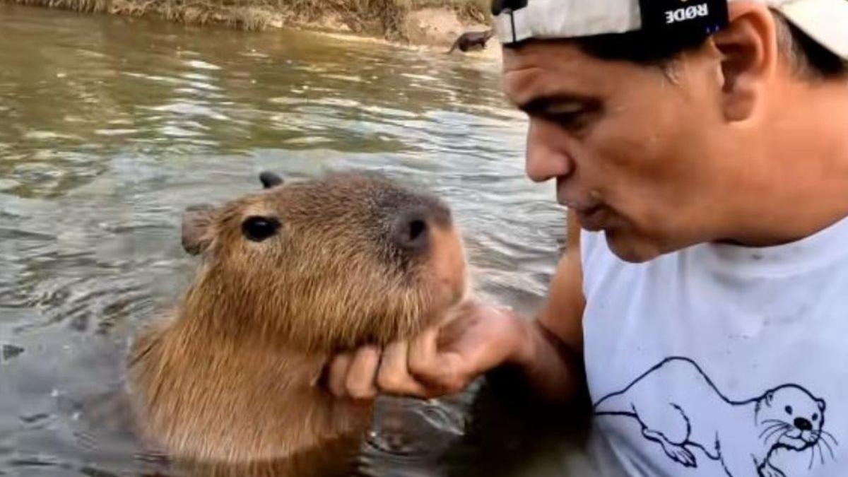 Esto es lo que cuesta una visita turística al Santuario de Frank Cuesta en Tailandia que acaba de salvarse por 100.000 euros