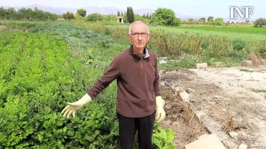 La suspensión de los mercadillos por el coronavirus aboca a la ruina a los pequeños agricultores