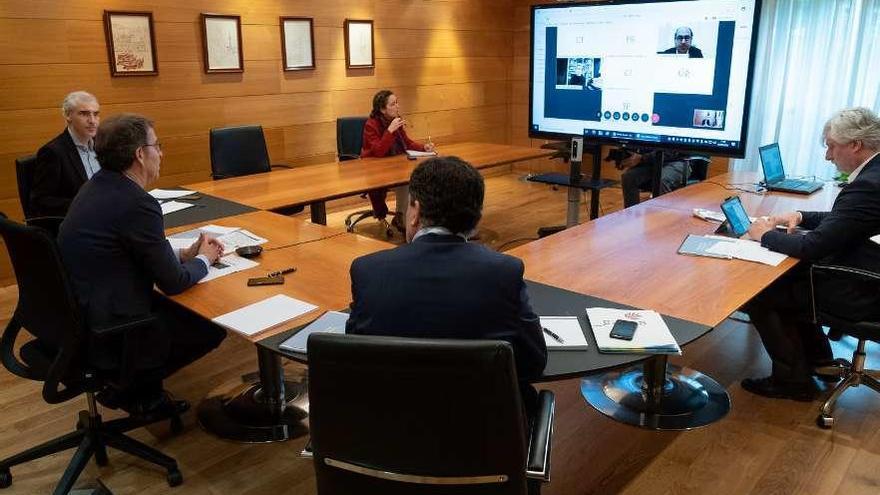 Un momento de la reunión telemática entre la Xunta y el sector turístico gallego, ayer. // D. Cabezón/E.P.