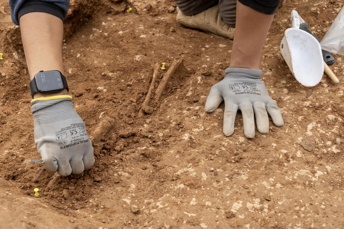 Las obras del tercer tramo de la Línea 3 Norte del Metro de Sevilla han sacado a la luz restos arqueológicos de época medieval andalusí, con unas 40 fosas funerarias documentadas, en la zona de los jardines de El Cerezo del barrio sevillano de La Macarena. EFE/ Raúl Caro.