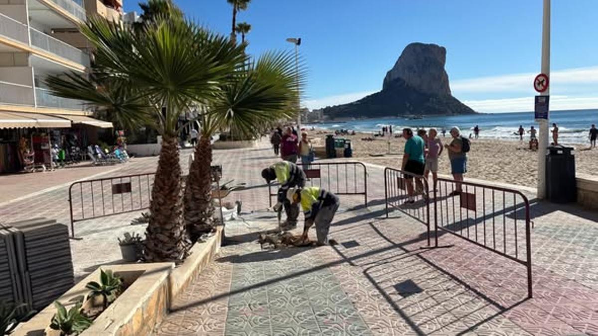 Paseo Martítimo de Calp